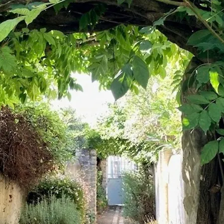 Maison Renovee Avec Terrasse, Cour Et Wifi Au Coeur De - Fr-1-544-5 Saint-Martin-de-Ré